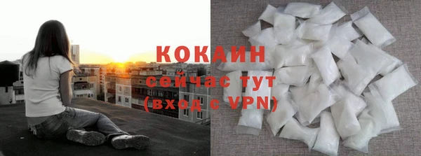 кокс Богородицк