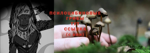 COCAINE Богданович