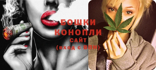 кокс Богородицк