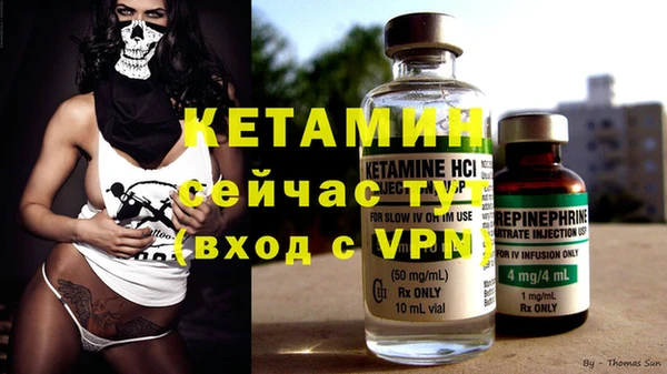 кокс Богородицк